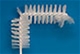Brushes