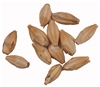 10 Lbs Weyermann® Barke® Pilsner Malt 