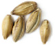55 Lbs.  Maris Otter Malt (Actual Shipping Item)