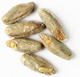 3 L. Rye Malt 